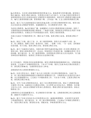 2024年上半年某市文物普查工作总结