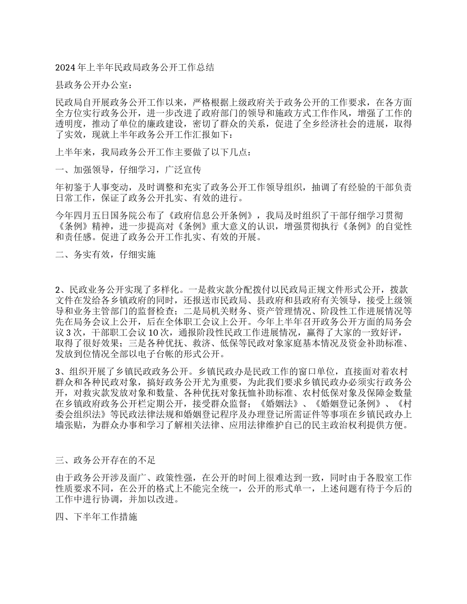 2024年上半年民政局政务公开工作总结_第1页