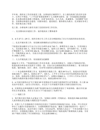 2024年上半年社会事务科工作要点总结
