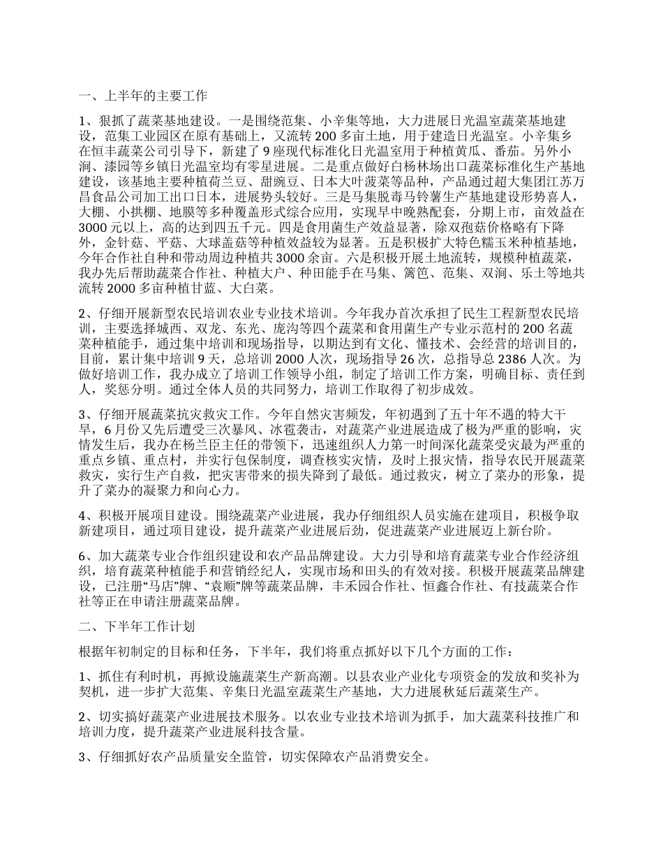 2024年上半年菜篮子工作总结_第1页