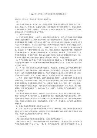 2024年上半年驻村工作队扶贫工作总结