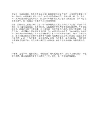 2024年业务员个人工作总结