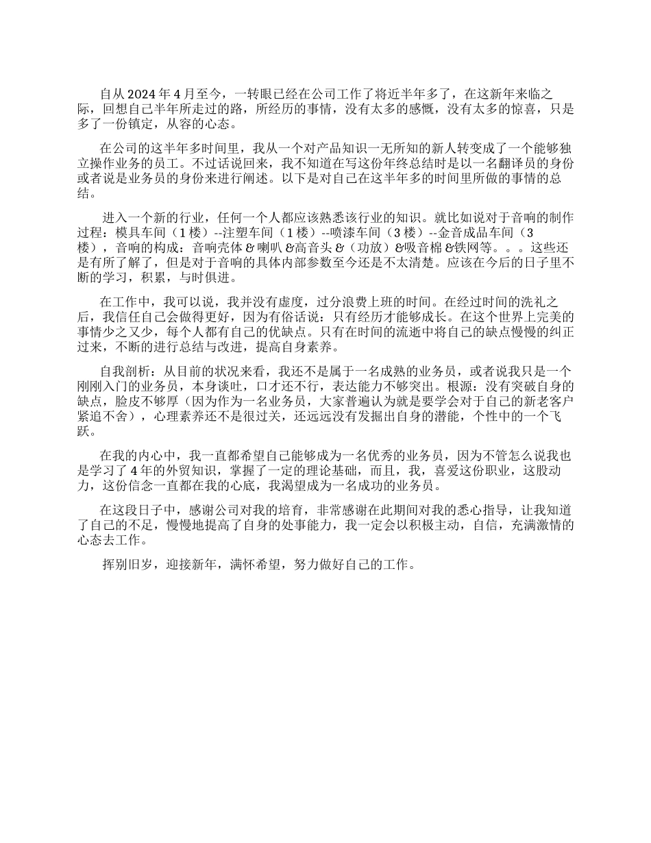 2024年业务员年终工作总结报告_第1页