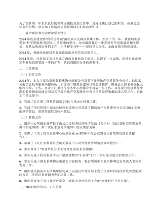 2024年个人会计核算工作总结