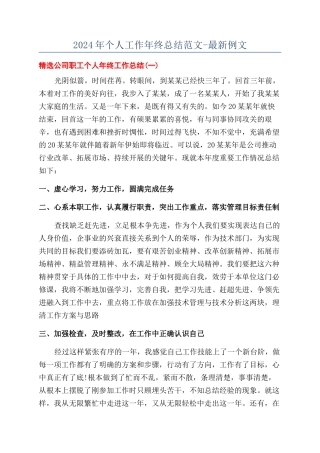 2024年个人工作年终总结范文-最新例文