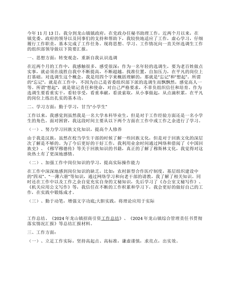 2024年个人工作总结及思想汇报_第1页