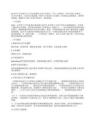 2024年个人工作总结报告