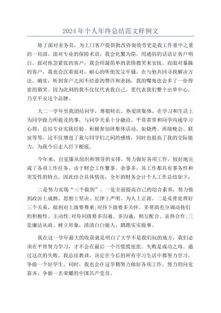 2024年个人年终总结范文样例文