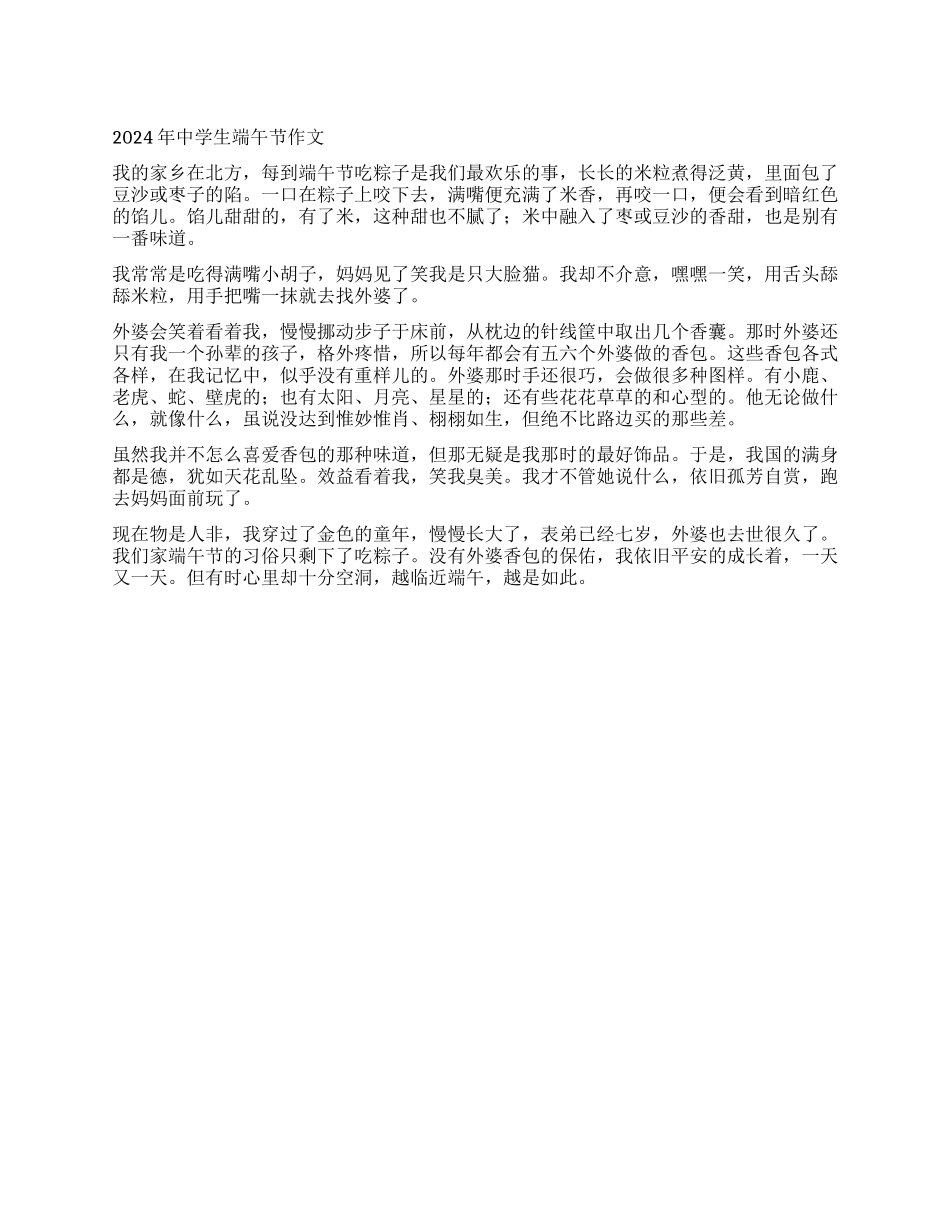 2024年中学生端午节作文_第1页