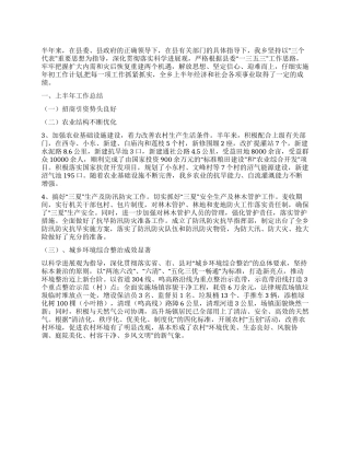 2024年乡政府半年工作总结范文