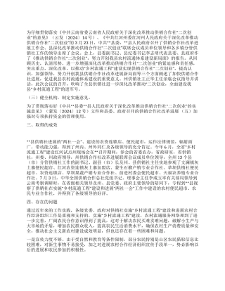 2024年乡村流通工程建设工作总结