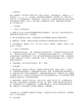 2024年乡镇三资清理清查工作总结-三资清查