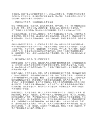 2024年乡镇人大工作总结