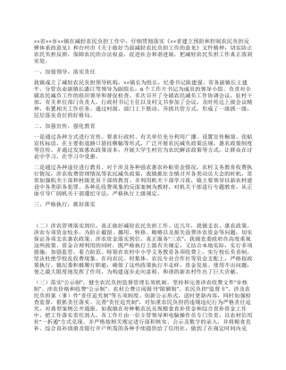 2024年乡镇减轻农民负担工作总结