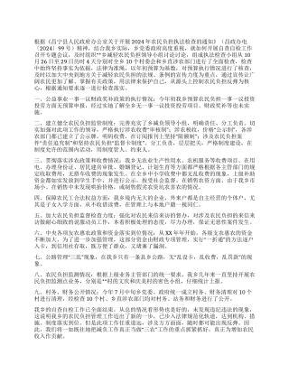 2024年乡镇农民负担执法检查工作总结