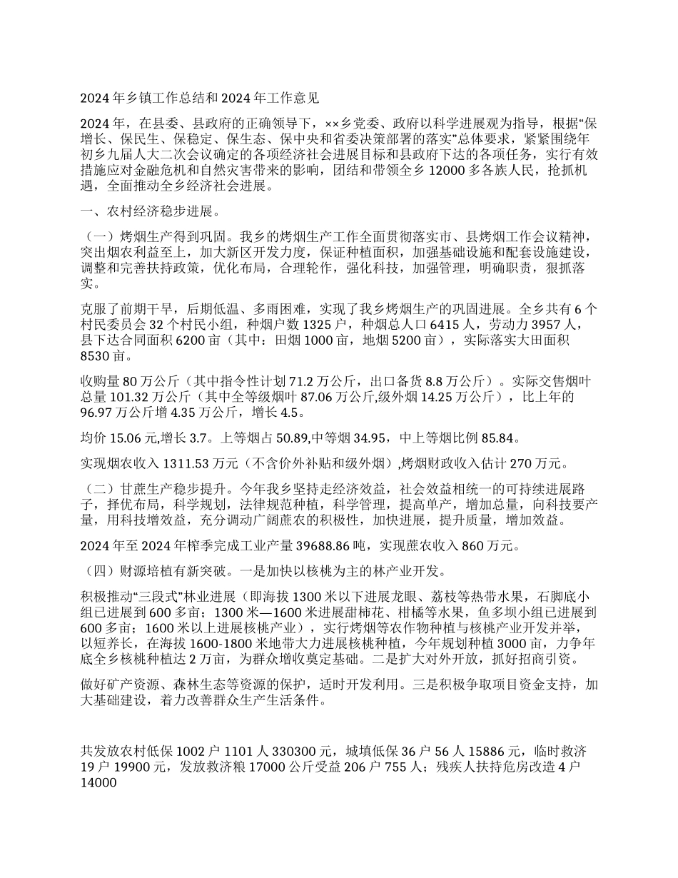 2024年乡镇工作总结和2024年工作意见_第1页