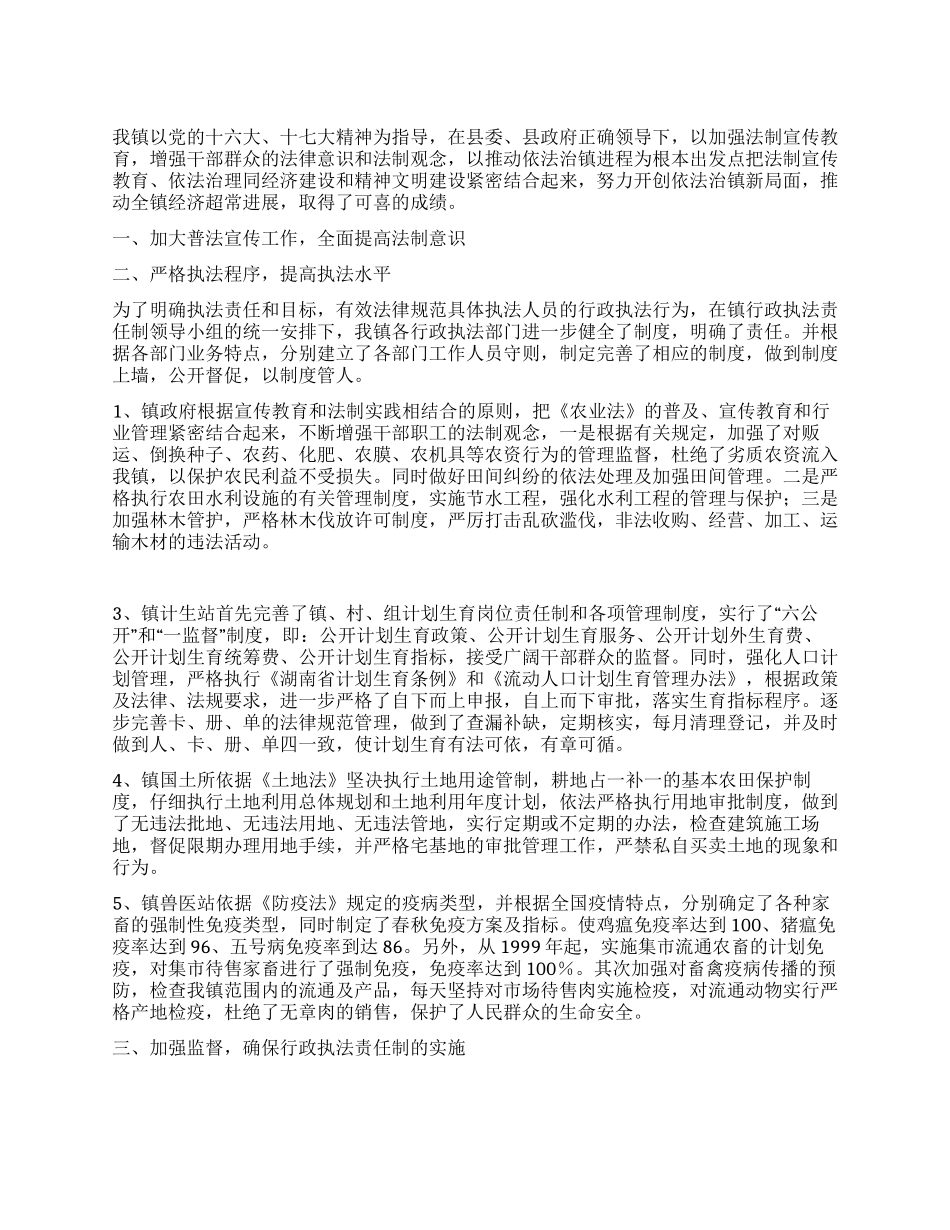 2024年乡镇行政执法工作年度总结_第1页