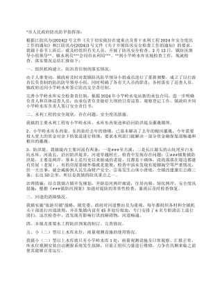 2024年乡镇防汛安全检查工作总结