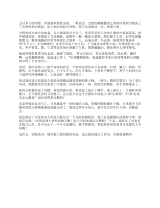 2024年五一少先队实践活动报告
