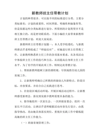 新教师班主任带教计划