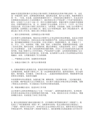 2024年会计工作总结