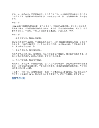 2024年供应室护理工作计划