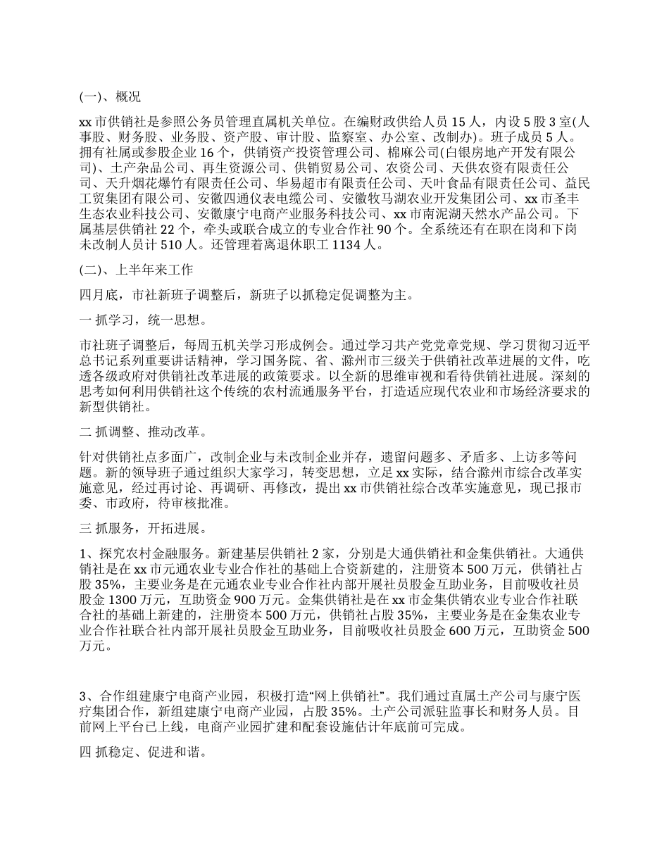 2024年供销作上半年工作总结和下半年工作计划_第1页