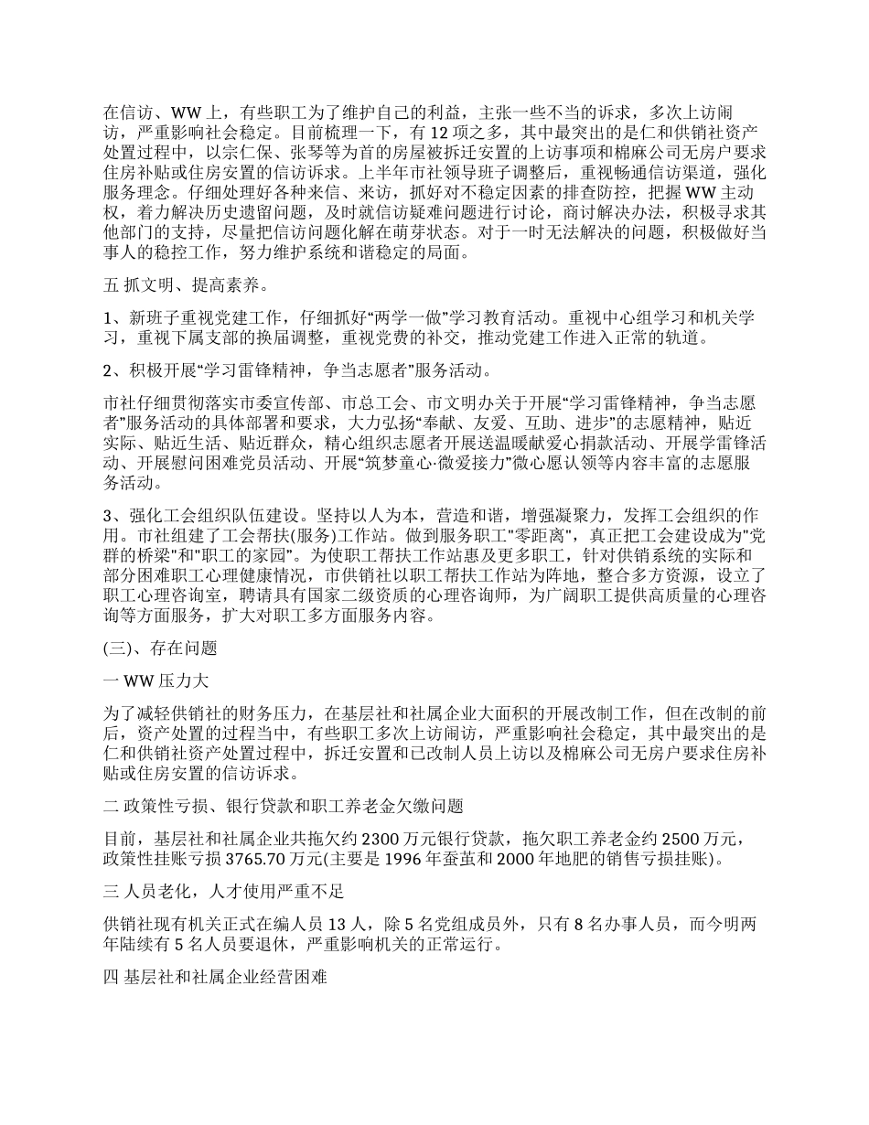 2024年供销作上半年工作总结和下半年工作计划_第2页