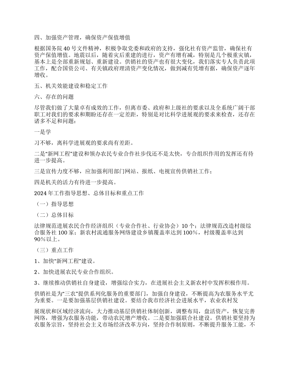 2024年供销社工作总结及2024年工作要点_第3页