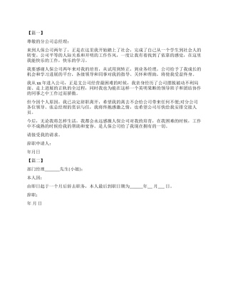 2024年保险公司辞职报告