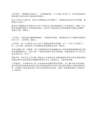 2024年假期工作实践报告