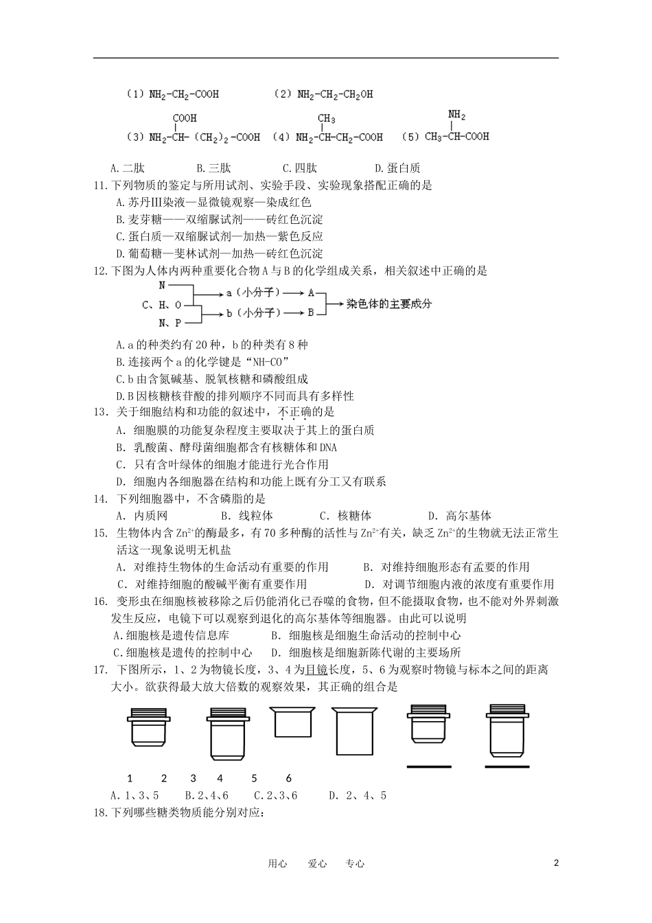 山东省日照一中11-12学年高一生物上学期期中考试试题【会员独享】_第2页