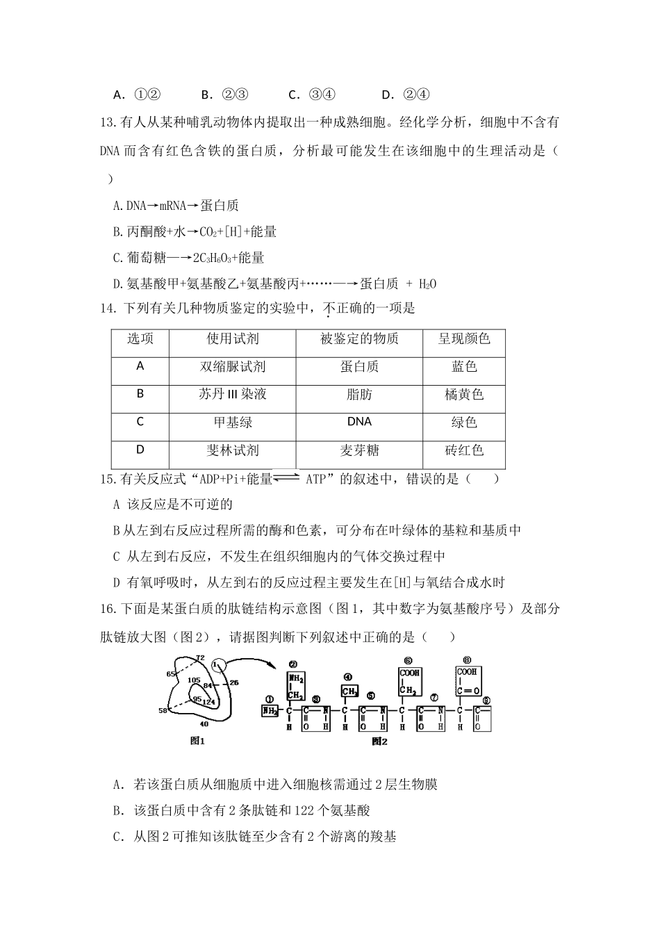 山东省日照一中2009届高三生物阶段性测试_第3页