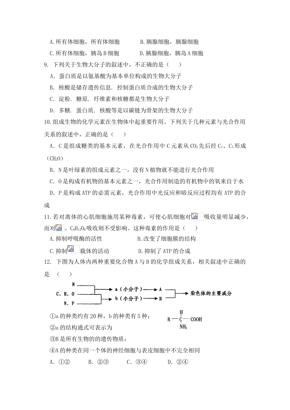 山东省日照一中2009届高三生物阶段性测试人教版_第2页