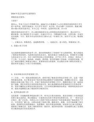 2024年党总支副书记述职报告