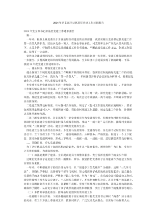 2024年党支部书记抓基层党建工作述职报告