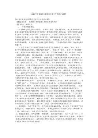 2024年党支部书记抓基层党建工作述职评议报告