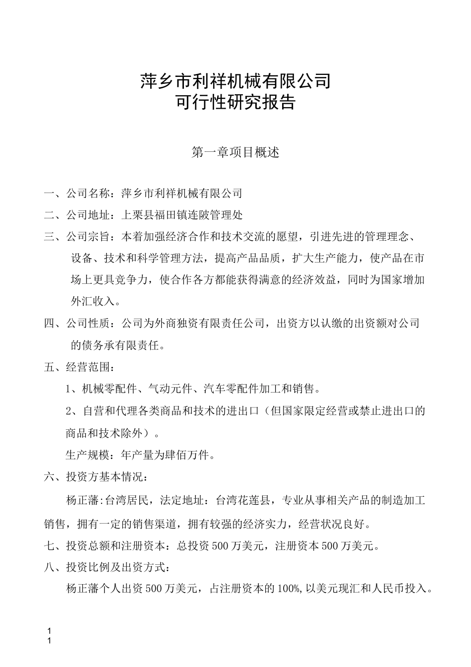 公司可行性报告_第1页