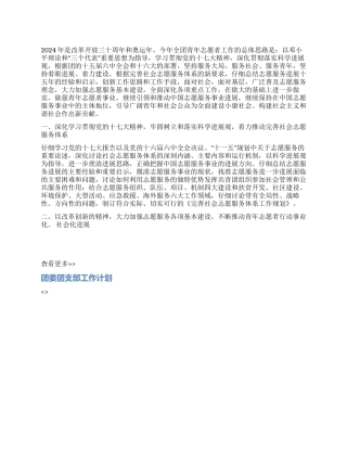 2024年全团青年志愿者工作要点