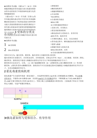 南开大学生物化学复习资料汇总