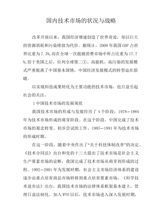 国内技术市场的状况与战略