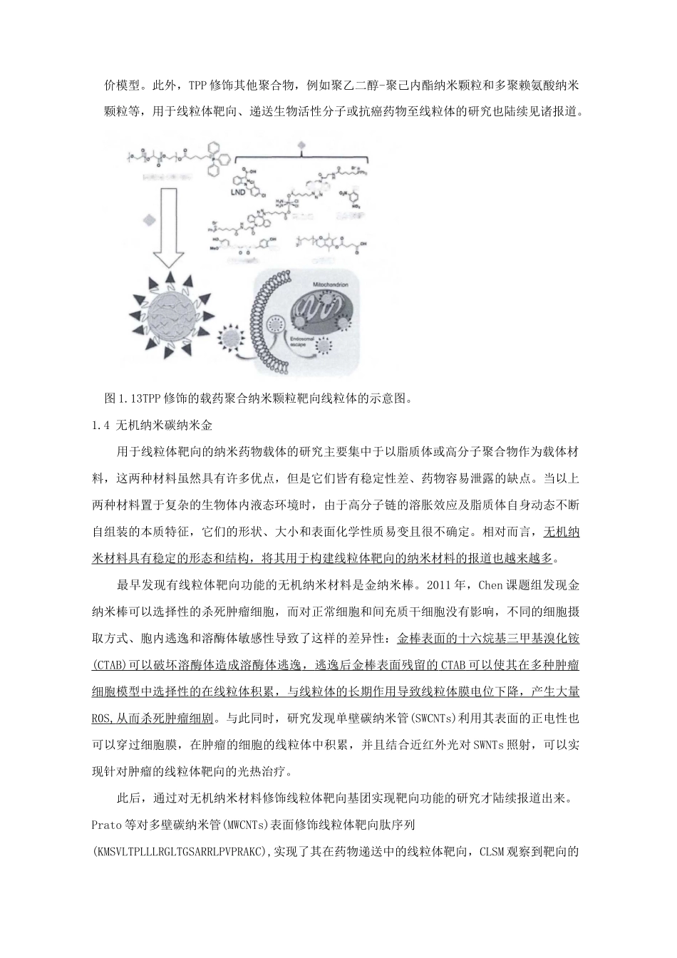 (完整版)6.2线粒体靶向纳米材料与肿瘤治疗特点_第3页