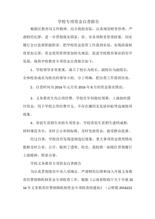 学校专项资金自查报告