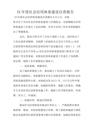 XX年度社会信用体系建设自查报告
