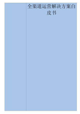 全渠道运营解决方案白皮书