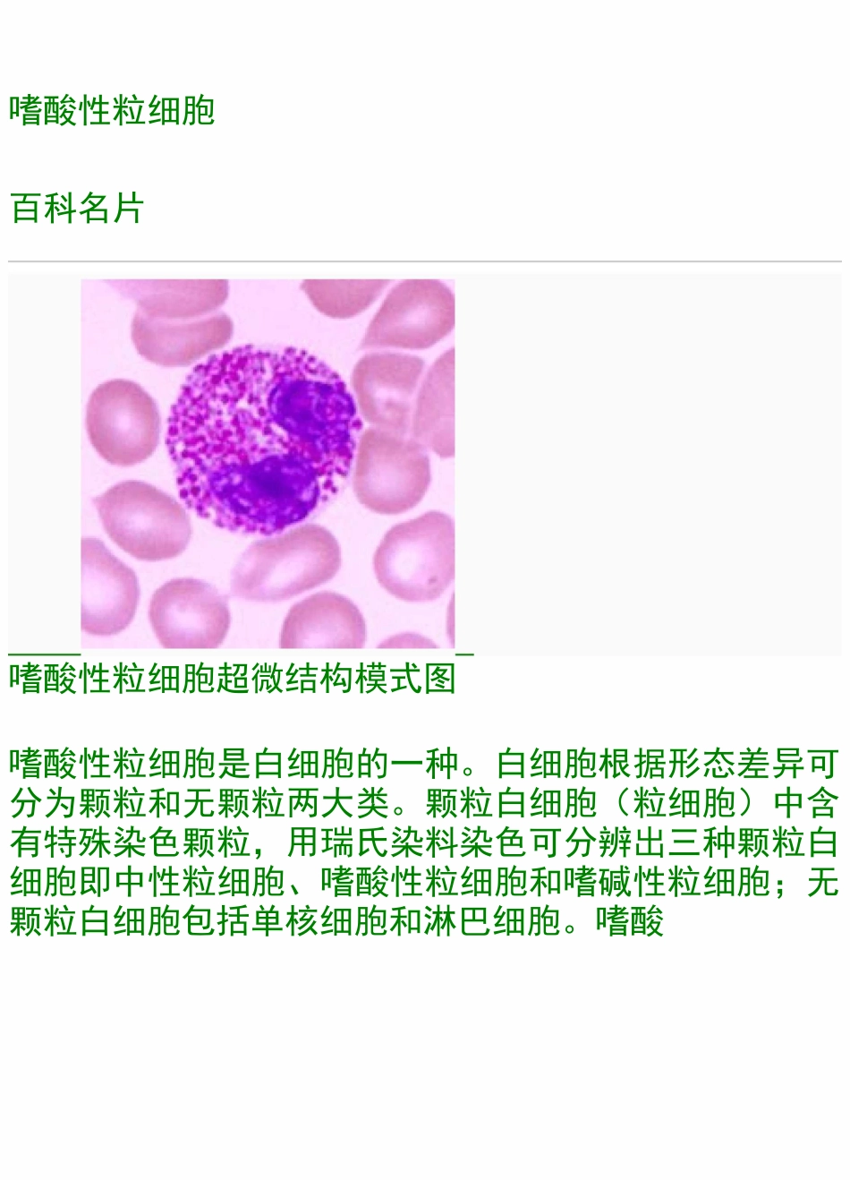 嗜酸性粒细胞_第1页