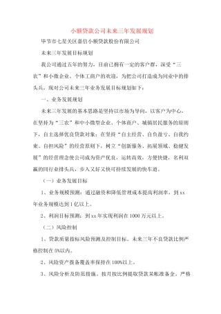 小额贷款公司未来三年发展规划