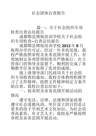 社会团体自查报告