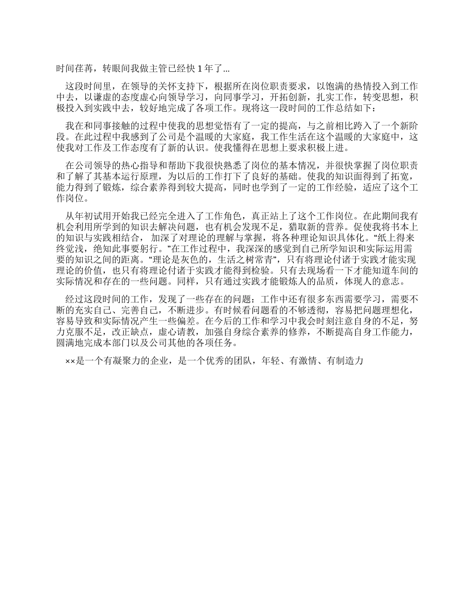 2024年公司主管工作总结_第1页