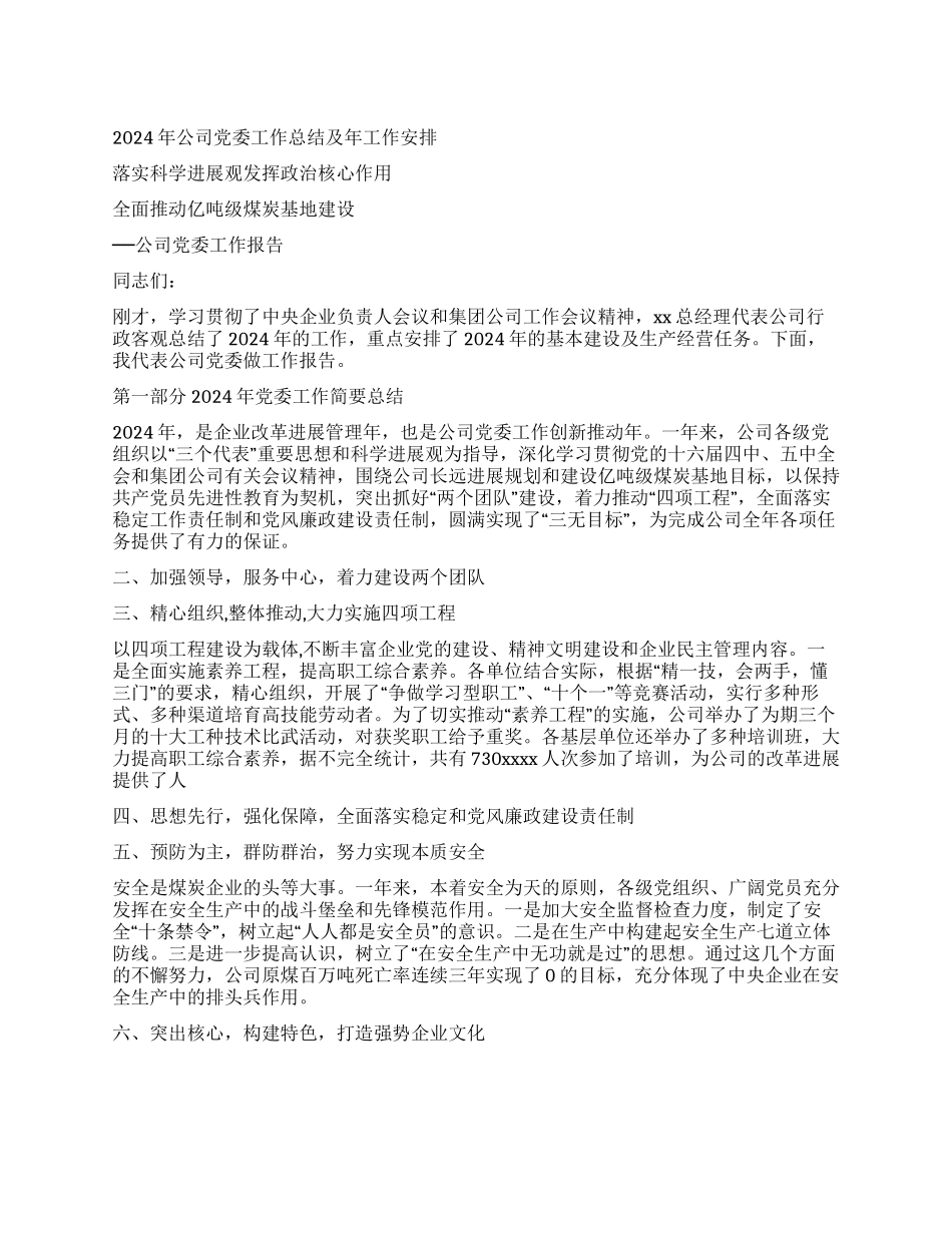 2024年公司党委工作总结及年工作安排党建党委_第1页